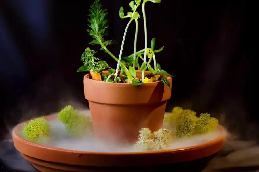贝博体彩app坎普顿广场餐厅(Campton Place restaurant)的一道创意菜，看起来像花盆.