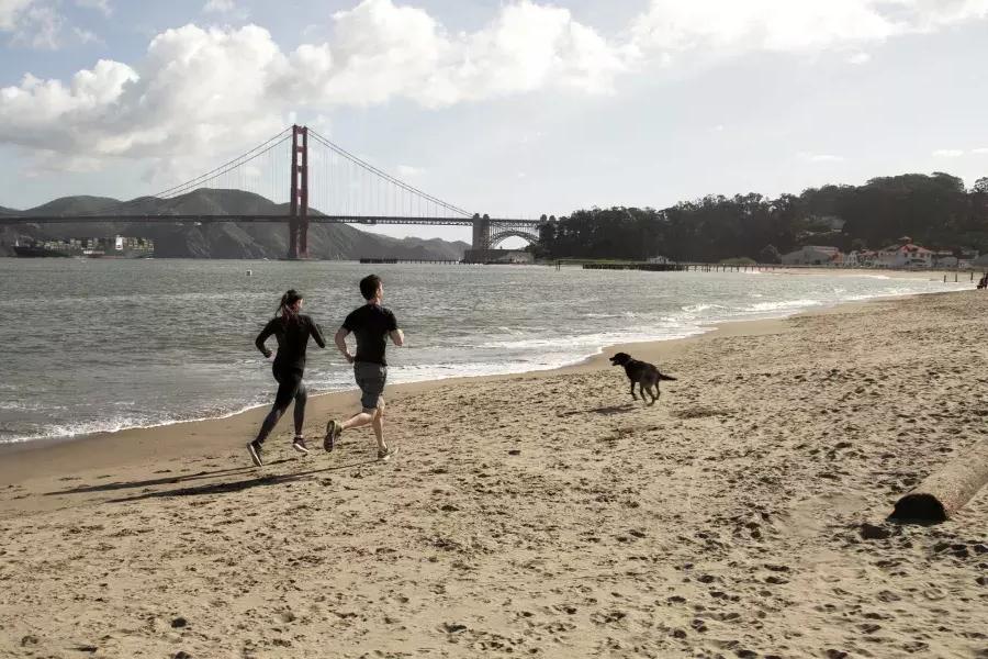 クリッシー・フィールドを走る犬とカップル